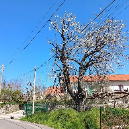 Διαμέρισμα Mon Reve