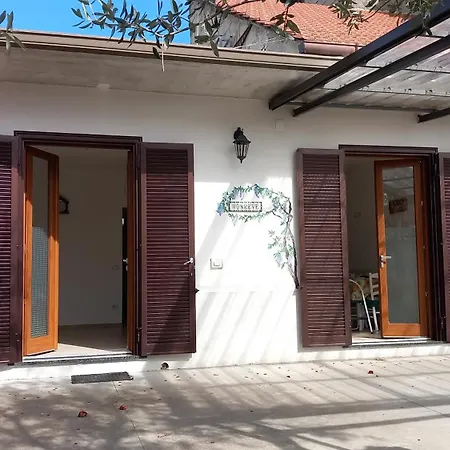 Mon Reve * 아제롤라